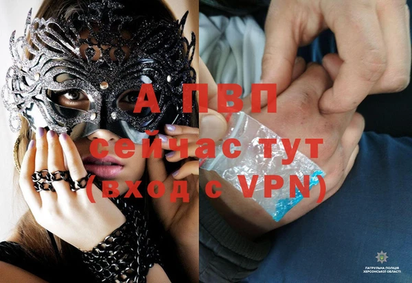 прущие крисы Арсеньев