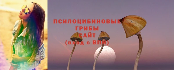 трава Аркадак