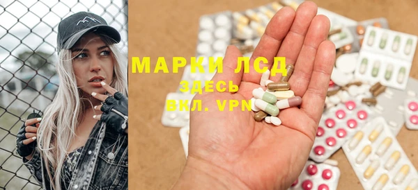 трава Аркадак