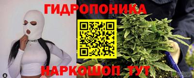 стаф Нарткала