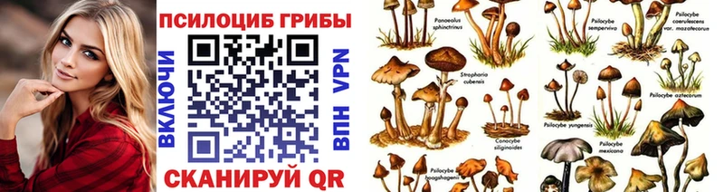 Псилоцибиновые грибы мицелий  MEGA ССЫЛКА  Георгиевск 