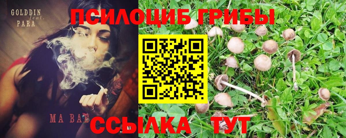 Галлюциногенные грибы ЛСД  Вход с VPN  закладки  Георгиевск 