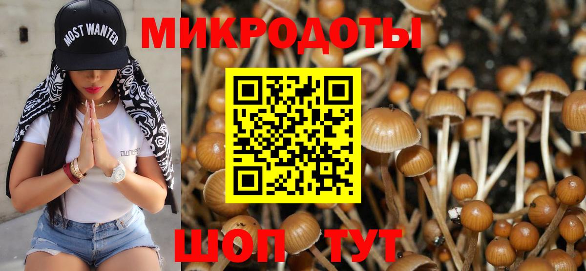 Псилоцибиновые грибы ЛСД Георгиевск